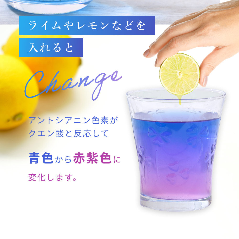 バタフライピー 無農薬 茶葉 50g 2袋 京都お茶工場製造 ハーブティー ノンカフェイン 無着色 無香料無農薬 青いお茶 青い花 蝶豆花茶 映え タイ ブルー ハーバルティー アントシアニンが豊富 エイジングケア 美容 健康 天然色素 オーガニック