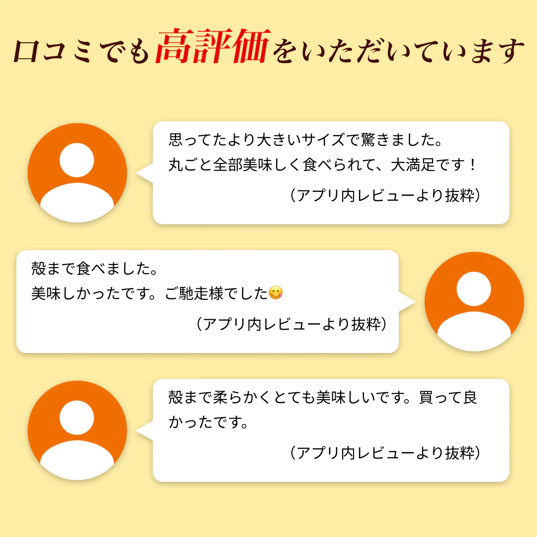 ソフトシェル シュリンプ 500g 20〜25尾 殻付き えび 冷凍えび バナメイえび 海鮮 冷凍 海老 まとめ買い 大量 贈答 エビ おすすめ バナメイ［送料無料］