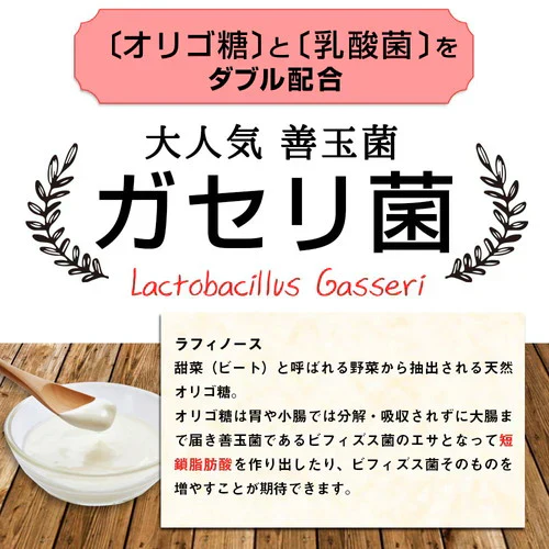 ガセリ菌プレミアム ブラック 約3ヶ月分 90粒ガセリ菌 活性炭 炭 チャコール 善玉菌 乳酸菌 腸活 菌活 炭活 サプリメント 大容量 お徳用 健康 美容 RoyalBS 日本製