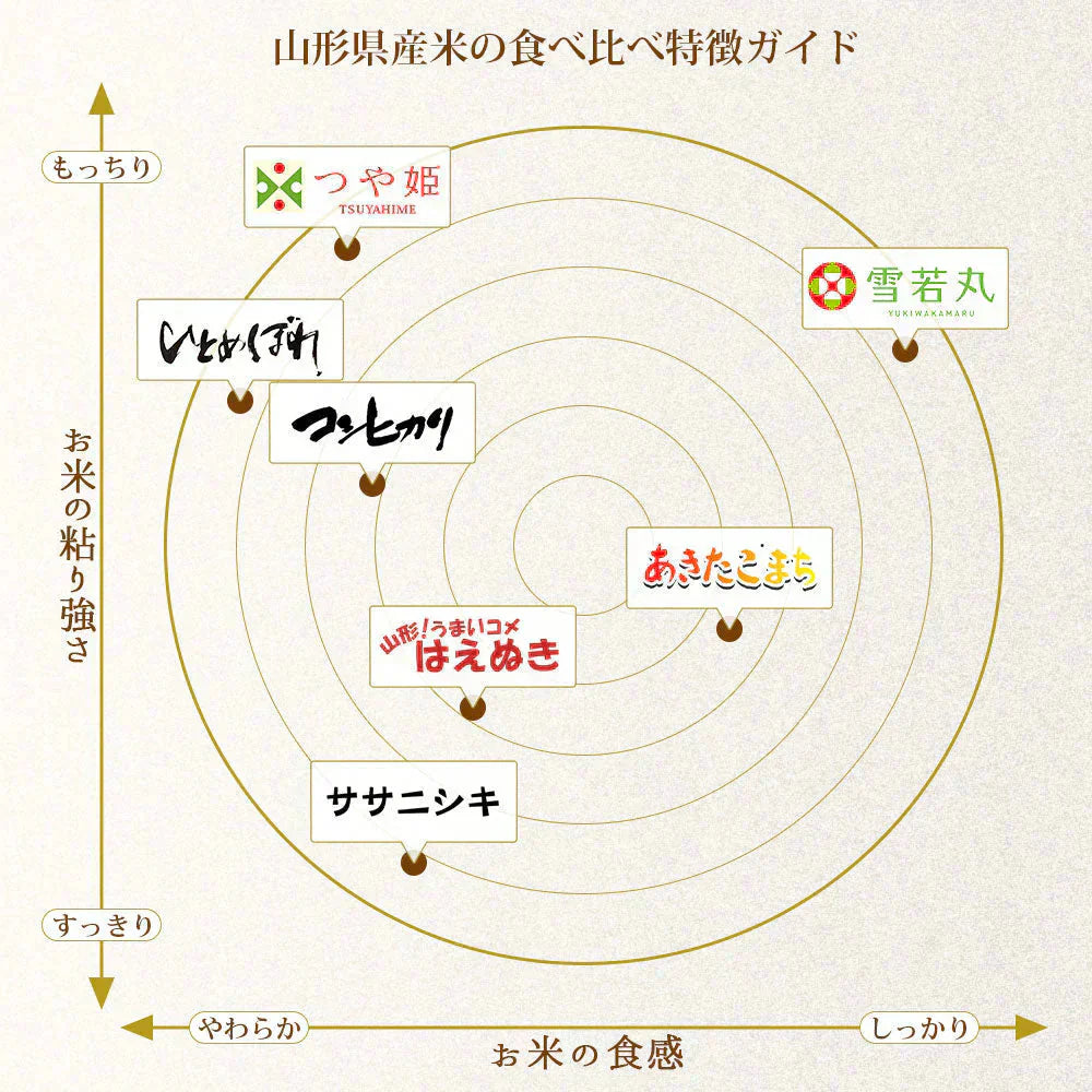 雪若丸 玄米 20kg (5kg×4袋) 山形県産 令和7年産 送料無料 米 20キロ こめ コメ お米 新米 お米20kg 雪若丸20kg 雪若丸20キロ