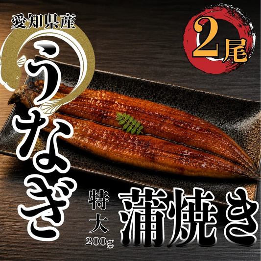 【ご注文受けてから捌きます！】捌きたて！愛知産★活うなぎの蒲焼き　特大　200g×2尾　鰻　ウナギ　蒲焼き