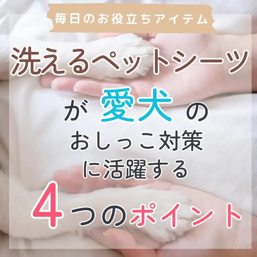 【ライトグレー：M（70㎝×50㎝）】ペットシート 犬用 猫用 トイレシート ワイド レギュラー 洗える 厚型 滑り止め