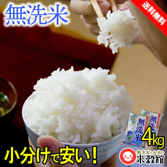 完売御礼 家計応援無洗米 4kg アウトレット わけあり 2kg×2個セット 送料無料