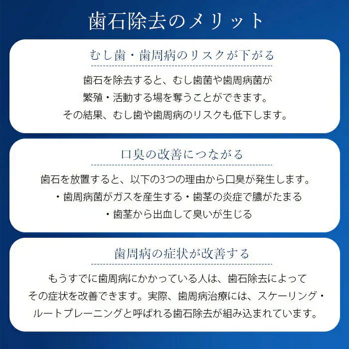 歯石取り 歯石除去 電動 スケーラー 器具 超音波 痛くない 歯垢除去 ヤニ取り セルフデンタルケア 舌クリーナー 舌磨き 軽量 コンパクト