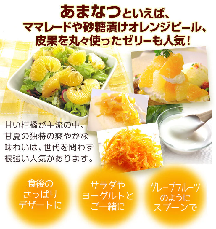 みかん　大分産　甘夏　1.5kg　ご家庭用（発送予定：2025年3月下旬より）