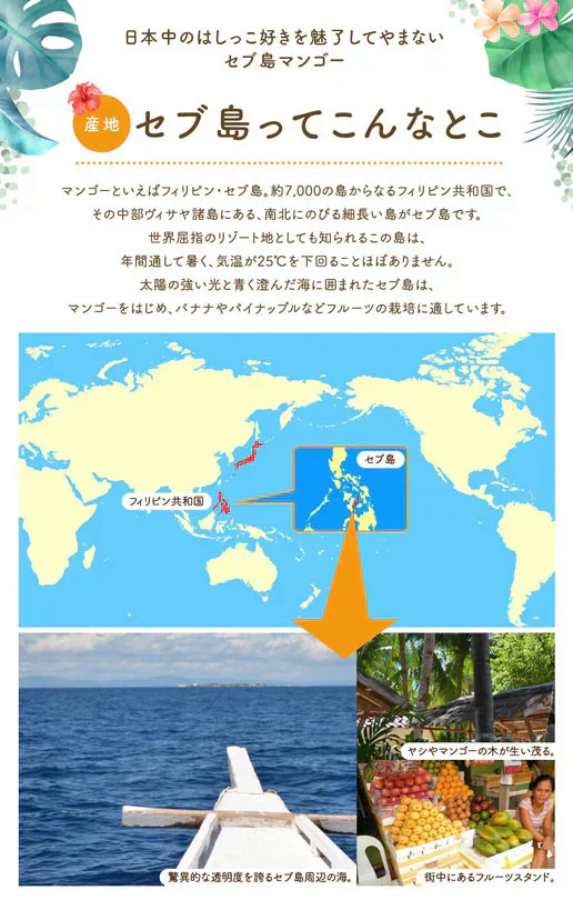 350g 半生ドライマンゴー ドライフルーツ 訳あり 不揃い セブ島 果実酢作りにおすすめ 送料無料