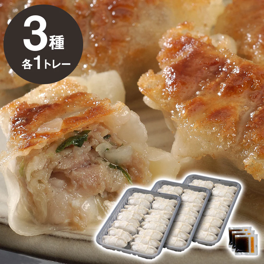 業務用 餃子 3種セット KNS-3 中華 点心 ぎょうざ ギョウザ【送料込み】【お届け不可地域：北海道・沖縄・離島】