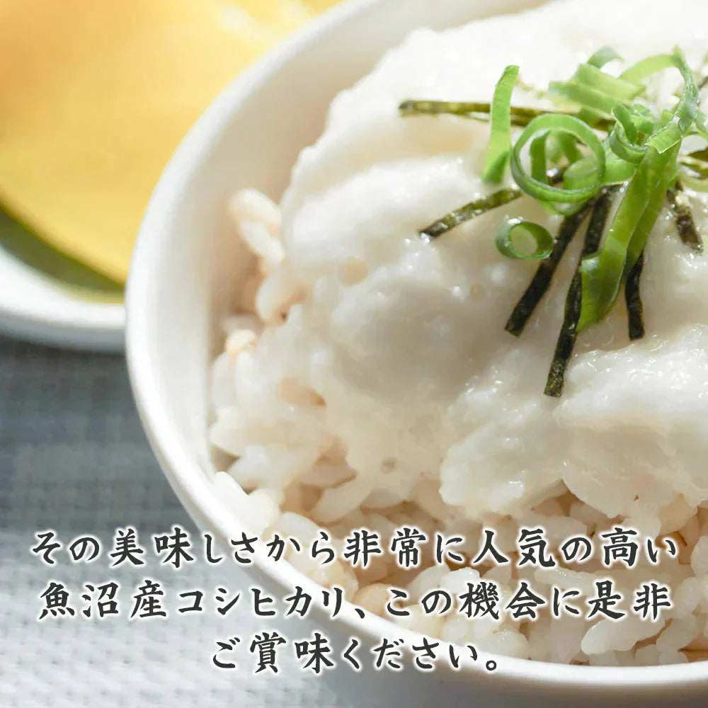 【白米】令和7年産 魚沼産 コシヒカリ 10kg(5kg×2袋) 精白米 国産 国産コシヒカリ100％ 送料無料 精米工場からの直送品