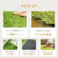 フレッシュグリーン 人工芝 ロール 1m×10m 芝丈35mm 送料無料 人工芝 芝生マット 人工芝生 人工芝マット 人工芝ロール 芝生 ロールタイプ 固定ピン 庭　　　　　 ベランダ テラス バルコニー ガーデニング ガーデン