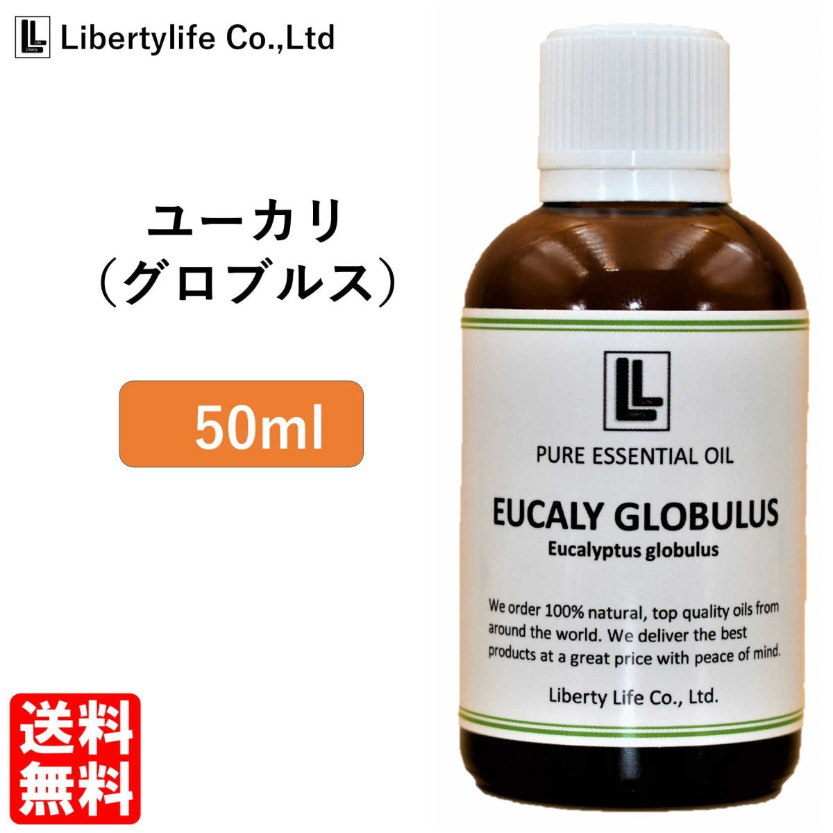 アロマオイル ユーカリ (グロブルス) 精油 エッセンシャルオイル  (50ml)