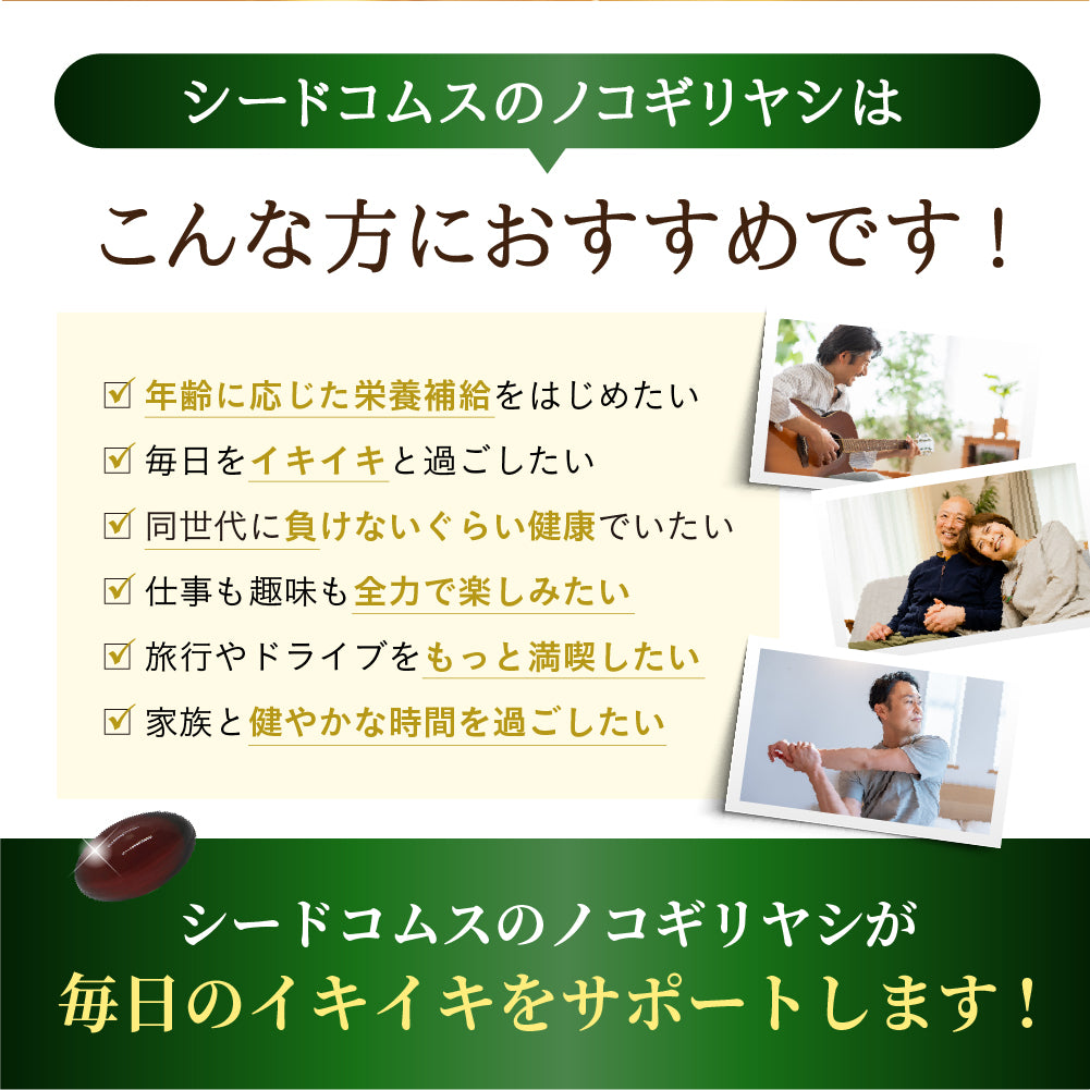 ノコギリヤシ《約3ヶ月分》サプリメント 男性 ノコギリ/サプリ/ノコギリヤシサプリ パンプキンシード ビタミン