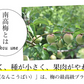 【6月上旬～中旬頃より順次出荷】南高梅 梅 送料無料 秀品 1.5kg クール便でお届け 熊本県産 最高級品種 ウメ 梅酒 フルーツ