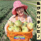 【予約殺到】【まるでフルーツ？！】みずみずしくとにかく甘い！淡路島産ブランド新玉ねぎ 『にじたま』早生 一級品 2.5kg（ご家庭用・8個前後） 使いやすいL・2L混在！