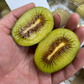 甘さピカイチ！　愛媛県産　レッドキウイ　レインボーレッドと同品種　2Kg（風袋込み）