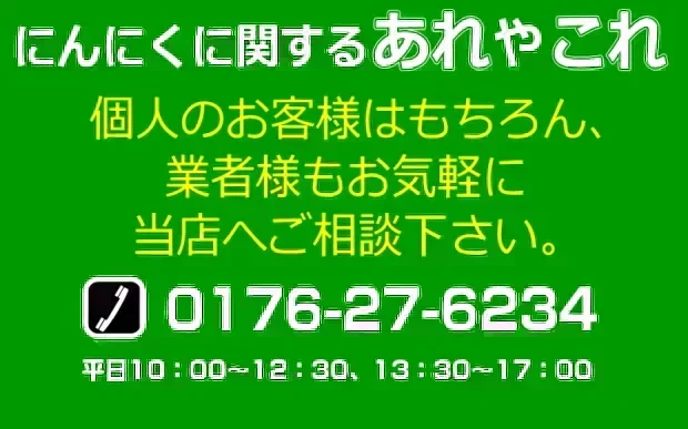 【新物】令和8年産 青森県産にんにく 1㎏ 訳あり C品 Mサイズ以上大玉混合 福地ホワイト六片種