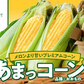 農家直送！メロンより甘い！博多あまっコーン4.5㎏【上部カット品】（約22本）（冷凍）