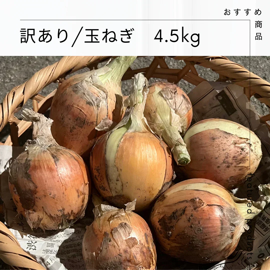 大阪府産　玉ねぎ　4.5㎏【訳あり】　4.5キロ★★産地直送！たまねぎ！フードロス削減にご協力くださいm(__)m