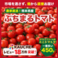 【1月から順次発送】【予約】１番多い約450g！ぷちまるトマト(280~300g+保証分150g)日本一の産地から農家直送 熊本県産 野菜 青果 フルーツ ミニトマト【カウシェファーム収穫対象商品】