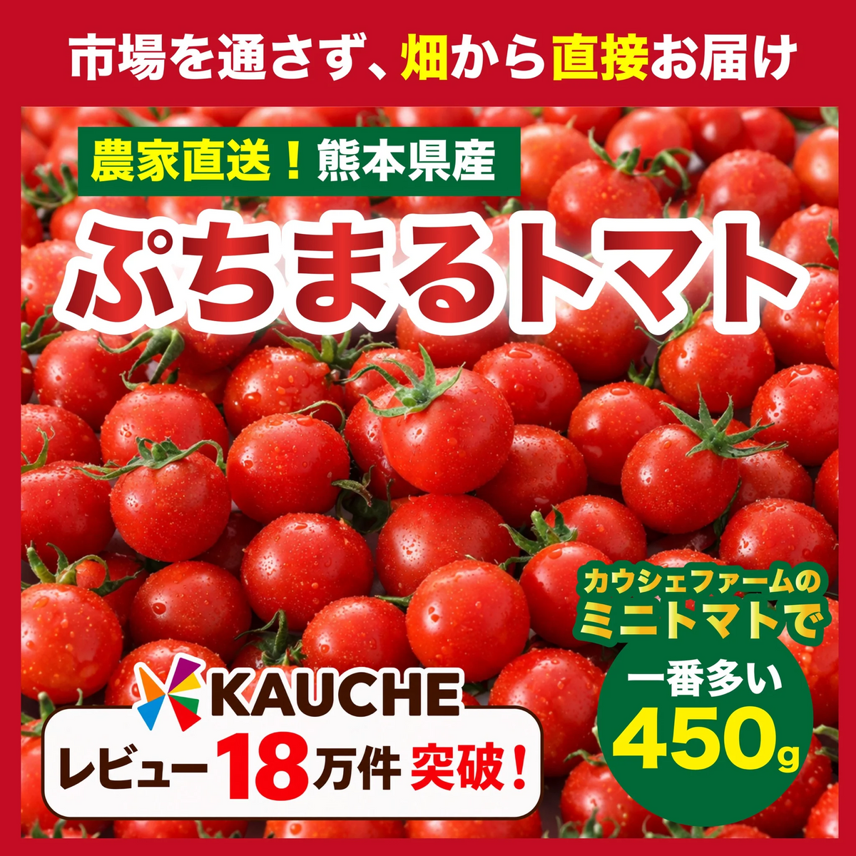 【1月から順次発送】【予約】１番多い約450g！ぷちまるトマト(280~300g+保証分150g)日本一の産地から農家直送 熊本県産 野菜 青果 フルーツ ミニトマト【カウシェファーム収穫対象商品】
