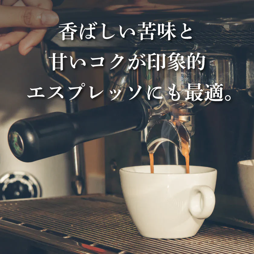 コーヒー専門店 レギュラーコーヒー ダークブラウンラベル 120g×3袋【360g】【豆】