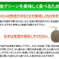メロン 肥後グリーンメロン 送料無料 1玉 M～3L 熊本県産 肥後グリーン