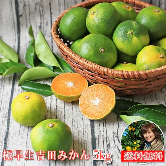 【予約販売　9/24以降発送】みかん　極早生　５ｋｇ　ｆ極０５　家庭用　サイズ込（2S～2L）　愛媛　吉田みかん　果物　フルーツ　柑橘