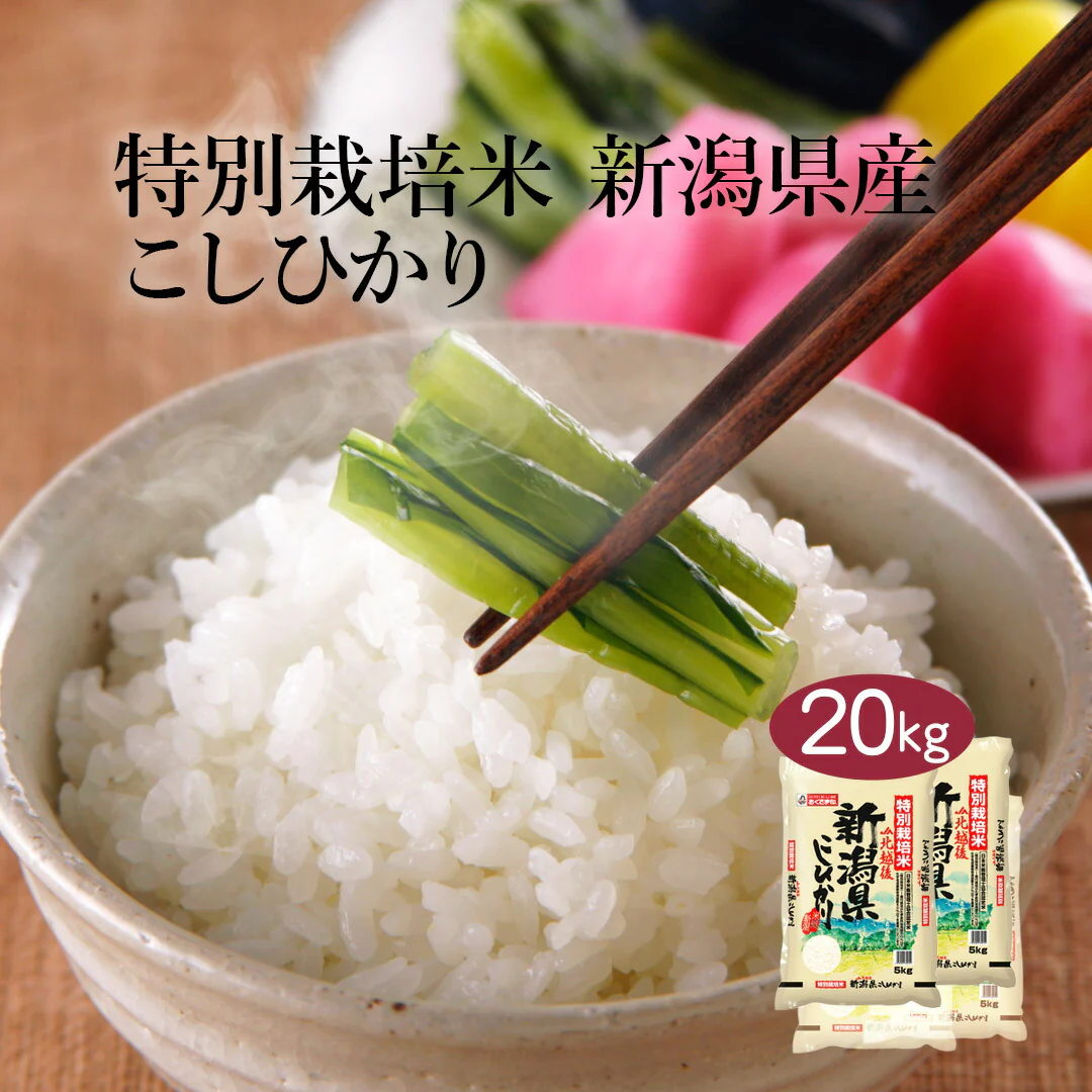 米 精米 新潟県 特別栽培米 こしひかり 20kg (5kg×4) 令和5年産 新米 JA北越後指定 お米 白米 おくさま印 国産 食品 ギフト 引っ越し 挨拶 出産 内祝い お中元 お歳暮 結婚 快気 還暦 香典返し お年賀 送料無料