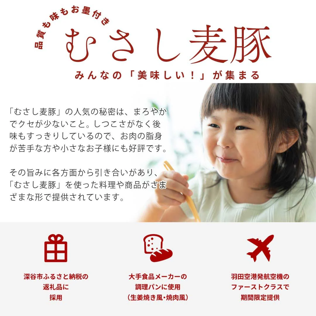 おうちごはん 国産 豚肉セット 2人前メニュー10品【豚ロース生姜焼き300g豚肩ロースとんかつ用300g豚ヒレブロック1本400-500g 豚ひき肉400g豚小間肉300g豚スペアリブ300g豚タン1本200g
