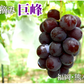 【7月下旬～8月上旬頃より順次出荷】ぶどう 巨峰 送料無料 2kg バラ・房混合 福岡・熊本県産 きょほう 葡萄 黒ぶどう 藤稔 ピオーネ