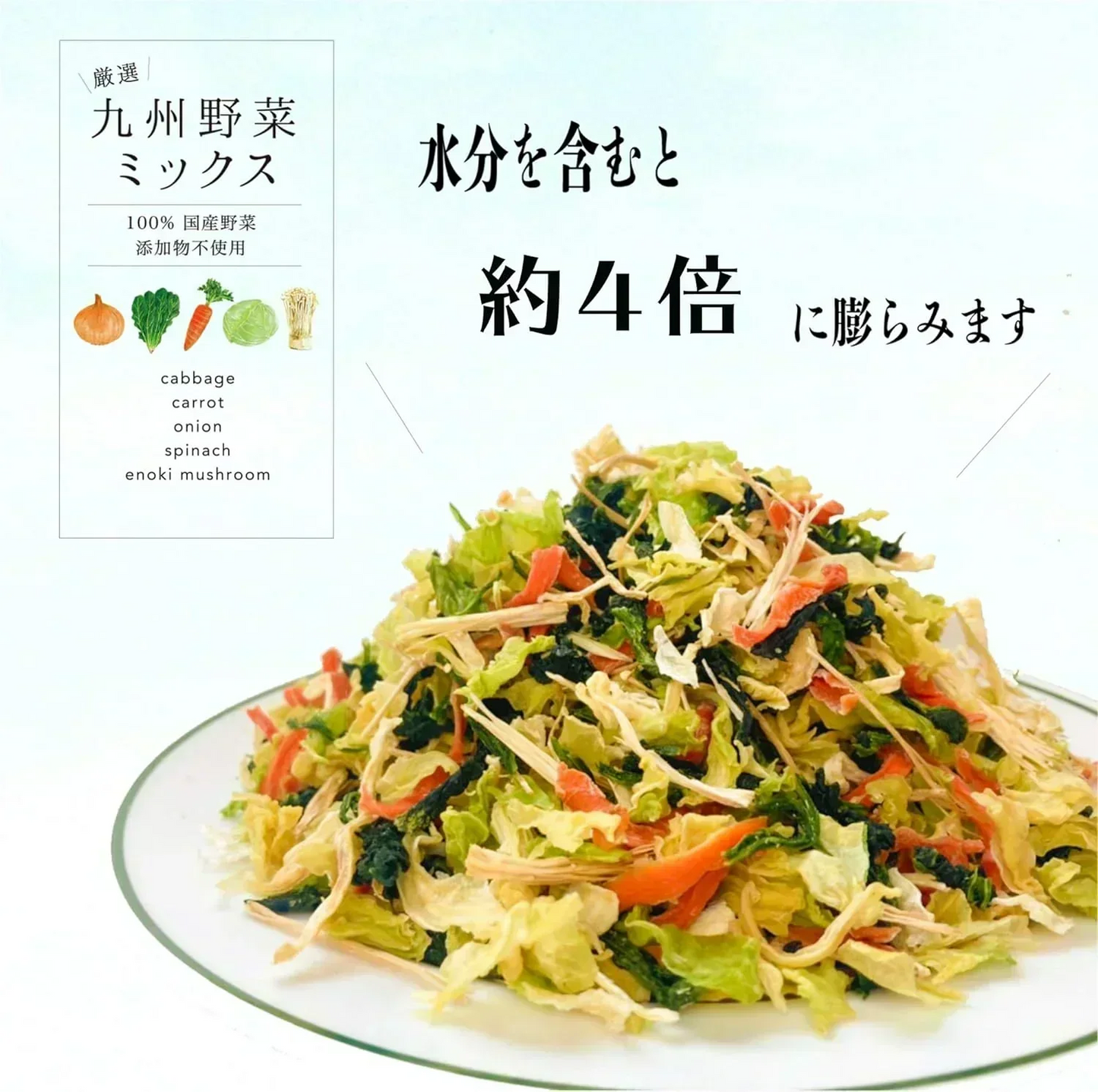 ＜訳あり＞ 数量限定特価 国産 乾燥野菜 九州野菜ミックス 2パック/200g【添加物不使用】 野菜 ドライベジタブル / にんじん 玉ねぎ えのき キャベツ ほうれん草