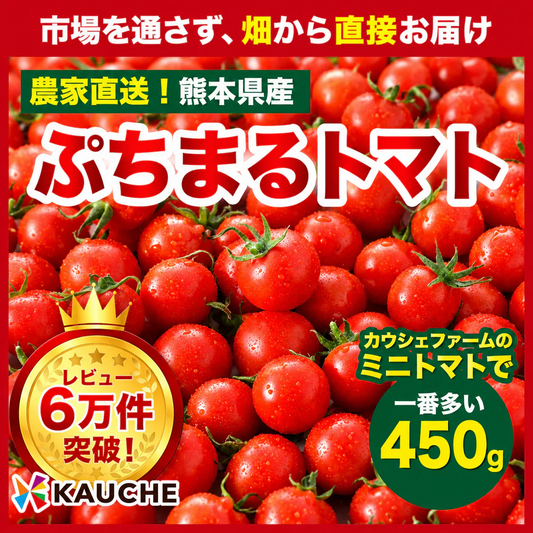 【１番早く届く！】【10月中旬頃〜12月末日までに発送】【予約】１番多い約450g！ぷちまるトマト(280~300g+保証分150g)日本一の産地から農家直送 熊本県産 野菜 青果 フルーツ ミニトマト【カウシェファーム収穫対象商品】
