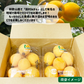 和歌山県産 びわ約500g（約250g×２パック）和歌山 田村 ビワ 送料無料 枇杷