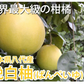 晩白柚 みかん ばんぺいゆ 訳あり 送料無料 約3kg〜4kg 2玉入 M〜2Lサイズ 世界最大級の柑橘 熊本県八代産 蜜柑 ミカン