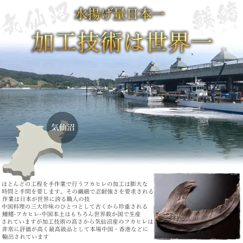 気仙沼産ふかひれの姿煮 3枚セット 常温 メール便 送料無料 カンタンお湯ポチャ温めるだけ♪高級中華の代名詞フカヒレの姿煮をご家庭で！