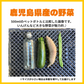 〔合計2kg〕野菜セット (ジャンボいんげん500g+ズッキーニ500g(2本)＋さつまいも(1kg3-5本) 鹿児島県産