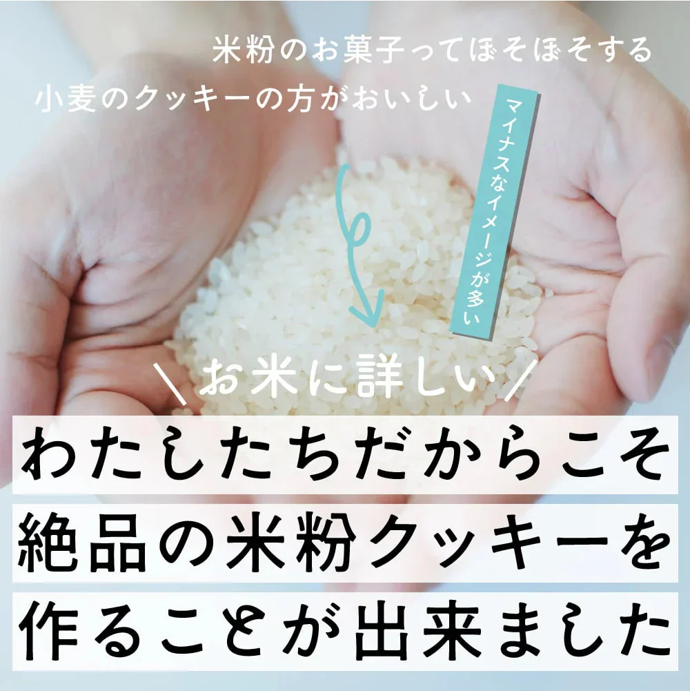 【小麦不使用】贅沢米粉グルテンフリークッキー(チョコチップ) 【4袋】400g 米粉 サクほろ食感 クッキー 健康おやつ ふんわり食感 贅沢な味わい ダイエットスナック 高品質米粉