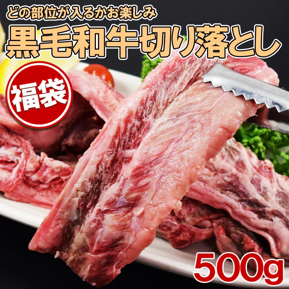 黒毛和牛切り落とし福袋 500g×1袋 焼き肉 ステーキ 切り落とし 小肉 どの部位が入るかお楽しみ ウデ モモ ロース その他（スジ等の部位が入るか事もあります)