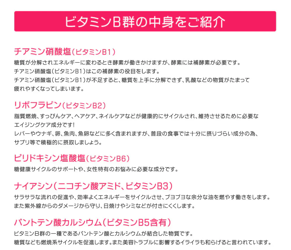 ビタミンB群《約1ヶ月分》チアミン硝酸塩/リボフラビン/ナイアシン/ニコチン酸アミド/ピリドキシン塩酸塩