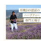 ラズベリーリーフティー 有機JAS認定 60包 無農薬 オーガニック シングルハーブ マタニティー 妊婦 安産 出産 産後ケア PMS 女性 お茶 ラズベリーリーフ ハーブティー ティーバッグ ノンカフェイン 出産準備