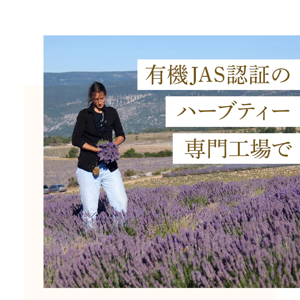 ラズベリーリーフティー 有機JAS認定 60包 無農薬 オーガニック シングルハーブ マタニティー 妊婦 安産 出産 産後ケア PMS 女性 お茶 ラズベリーリーフ ハーブティー ティーバッグ ノンカフェイン 出産準備