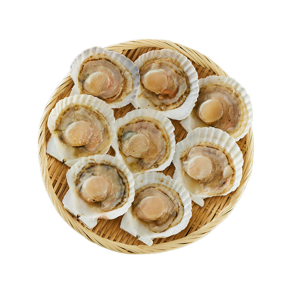 北海道産 帆立片貝 8枚(50g×8) 貝類 ホタテ【送料込み】【二重包装不可】【お届け不可地域：離島】
