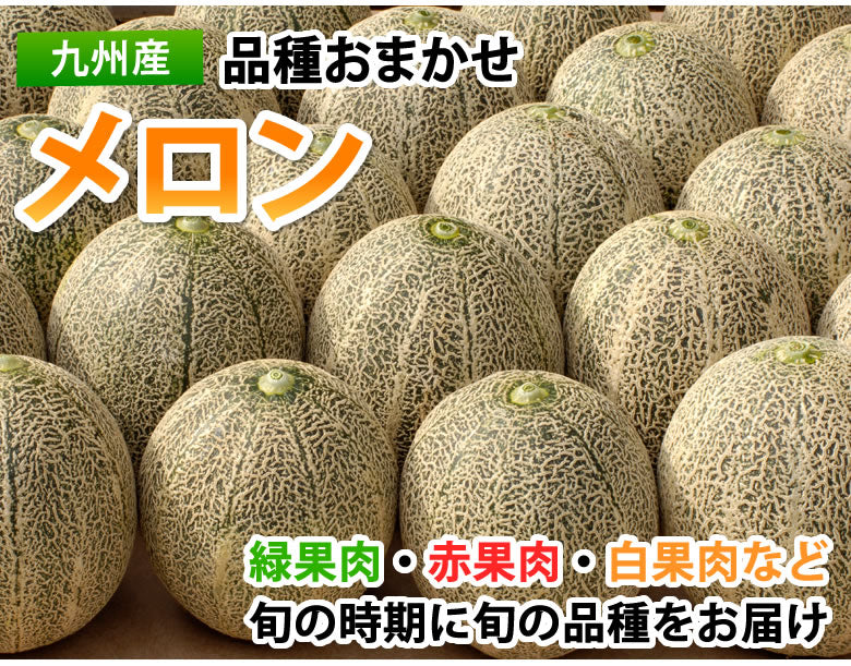 【5月下旬～6月上旬頃より順次出荷】メロン 訳あり 送料無料 約4kg（2〜7玉）品種おまかせ 九州産 キンショウメロン・イエローキング・エリザベス・肥後グリーン・プリンス・レノン・タカミ・アムス・ クインシーメロン・リゾート・アンデスメロン・ホームランなど