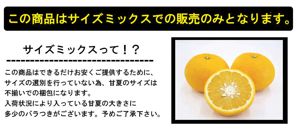 甘夏 5kg みかん 蜜柑 ご家庭用 箱買い サイズミックス あまなつ 柑橘 フルーツ 果物 産地直送 愛媛県産 YDF-013