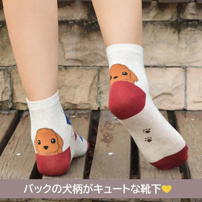 【予約商品・発送時期は商品説明に記載】犬 靴下 6足セット 犬柄 イヌソックス かわいい ボーダー ショートソックス いぬ 靴下 くつ下 ソックス カジュアル 人気 アーガイル 肉球 ランキング 春 夏 秋 冬 女性 レディース 子供 送料無料 ギフト プレゼント