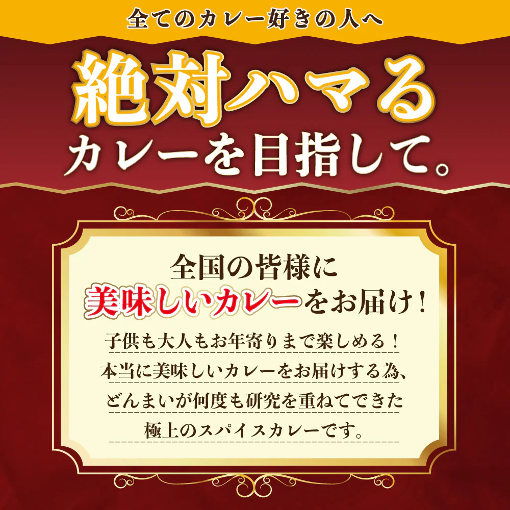 どんまいオリジナルカレー カレー 3種ミックス(180g×3) どんまいレトルトカレー ビーフカレー ポークカレー チキンカレー カレー 【カウシェファーム収穫対象商品】