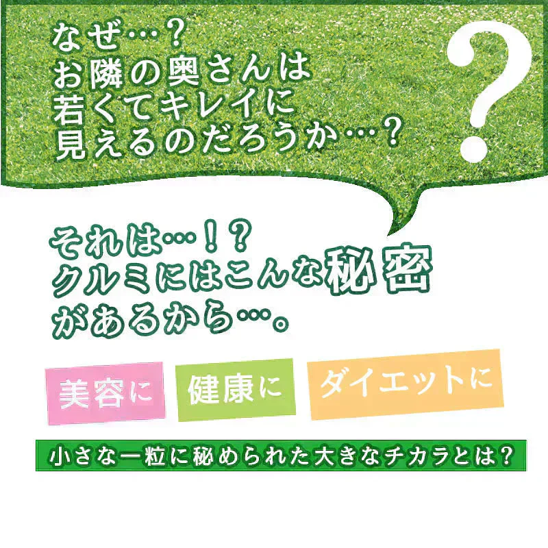 ＜旅する生クルミ500g（無添加・無塩）＞ ナッツ そのまま食べられる！ ミックスナッツ