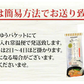 あごだしラーメン 2食セット 送料無料 お取り寄せ  ラーメン あごだし 長崎県産