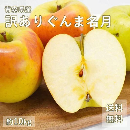 【11月中旬頃からご予約順に発送予定】青森県産 訳あり ぐんま名月 約10kg 家庭用 青森 りんご 林檎 群馬名月 果物 フルーツ 送料無料 ks