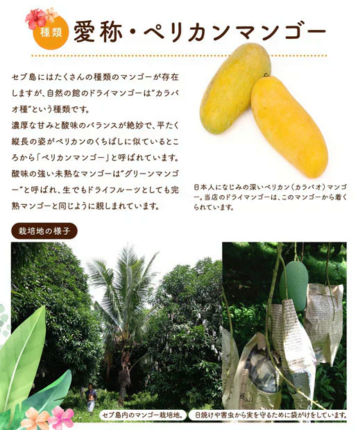 350g 半生ドライマンゴー ドライフルーツ 訳あり 不揃い セブ島 果実酢作りにおすすめ 送料無料