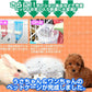 【グリーン】うさぎ ケージ 引き出しトレー 天面オープン キャスター付き 簡単組立 猫 小型犬 ペットケージ キャットケージ 犬小屋 うさぎ モルモット 小動物 ケージ ルームケージ 飼育ケージ 室内ハウス スロープドア おしゃれ 組立 簡単